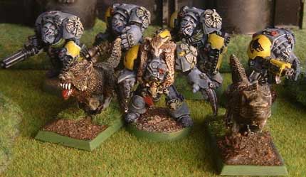 sw_wolfguard.jpg